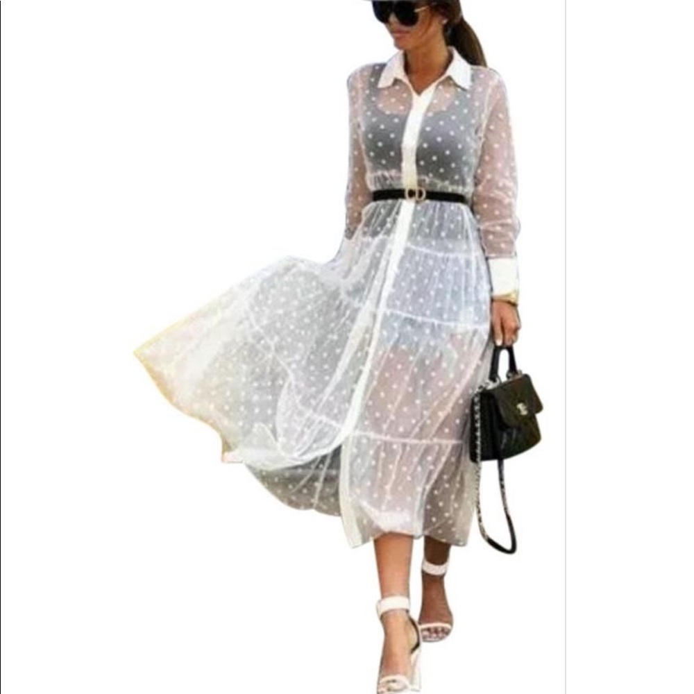 Zara polka dot sheer shirt dress